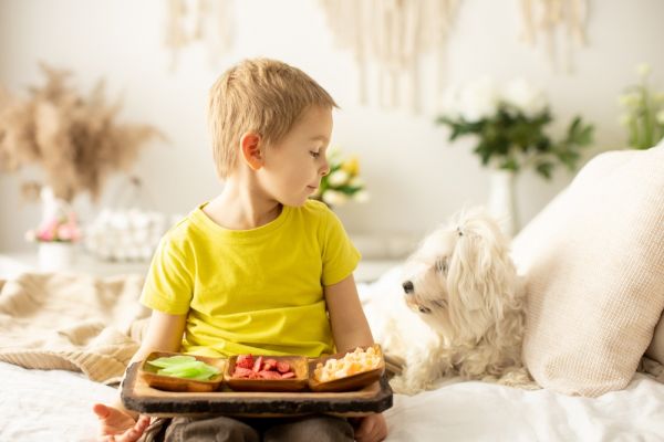 Παιδιά: Πώς τα αποξηραμένα φρούτα ενισχύουν την υγεία τους | imommy.gr