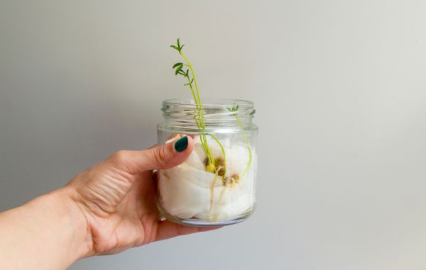 Παιδιά: Έτσι θα δουν τις φακές με… άλλο μάτι | imommy.gr