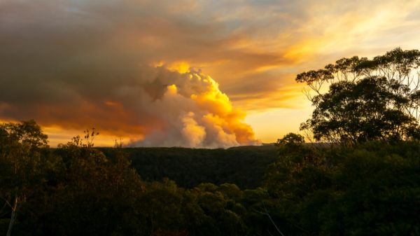 Ανησυχία στην Πάτρα: Αυξημένοι οι κίνδυνοι για την υγεία λόγω καρκινογόνων σωματιδίων από τις φωτιές | imommy.gr
