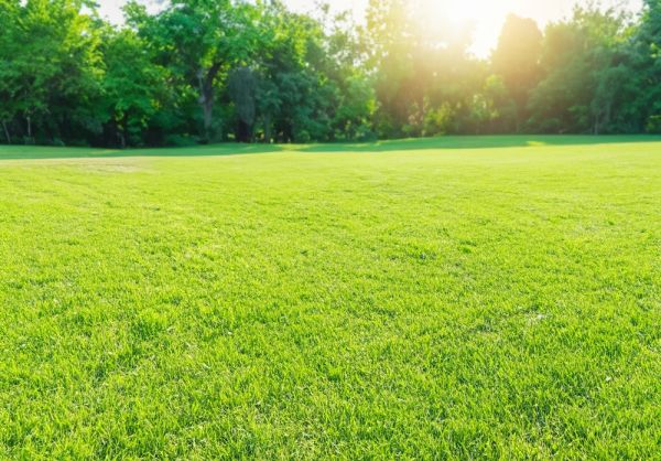 Καιρός: Πότε πέφτει η θερμοκρασία; Η τάση για τον Αύγουστο | imommy.gr