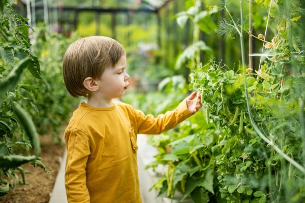 Φύση: Τα οφέλη για την υγεία των παιδιών | imommy.gr
