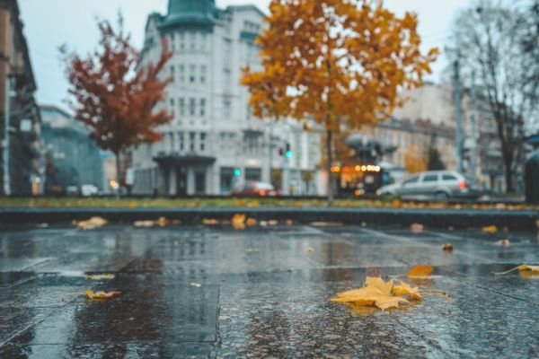 Καιρός: Άνοδος της θερμοκρασίας με ισχυρούς ανέμους – Πού θα βρέξει | imommy.gr