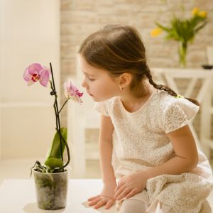 Παιδί-«ορχιδέα»: Τι χαρακτηριστικά έχει;