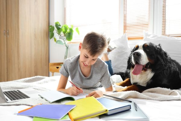Το τρικ που πείθει τα παιδιά να κάνουν τα μαθήματά τους χωρίς γκρίνια
