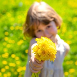 Dandelion children: Έχουν την ανθεκτικότητα στο DNA τους